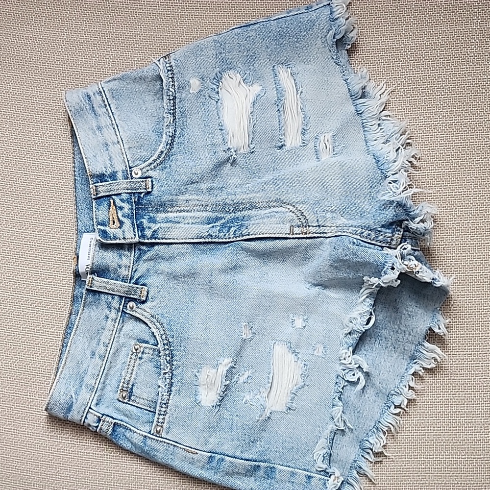 Zara Shorts